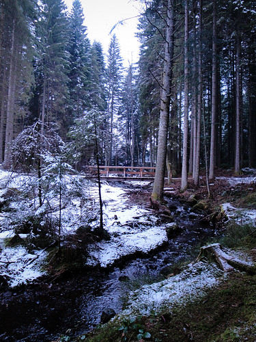 black forest streams.