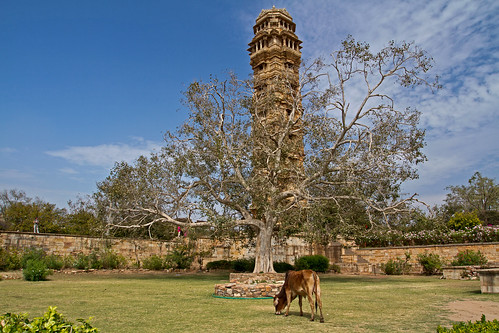 The tower at Chittorgarh Fort