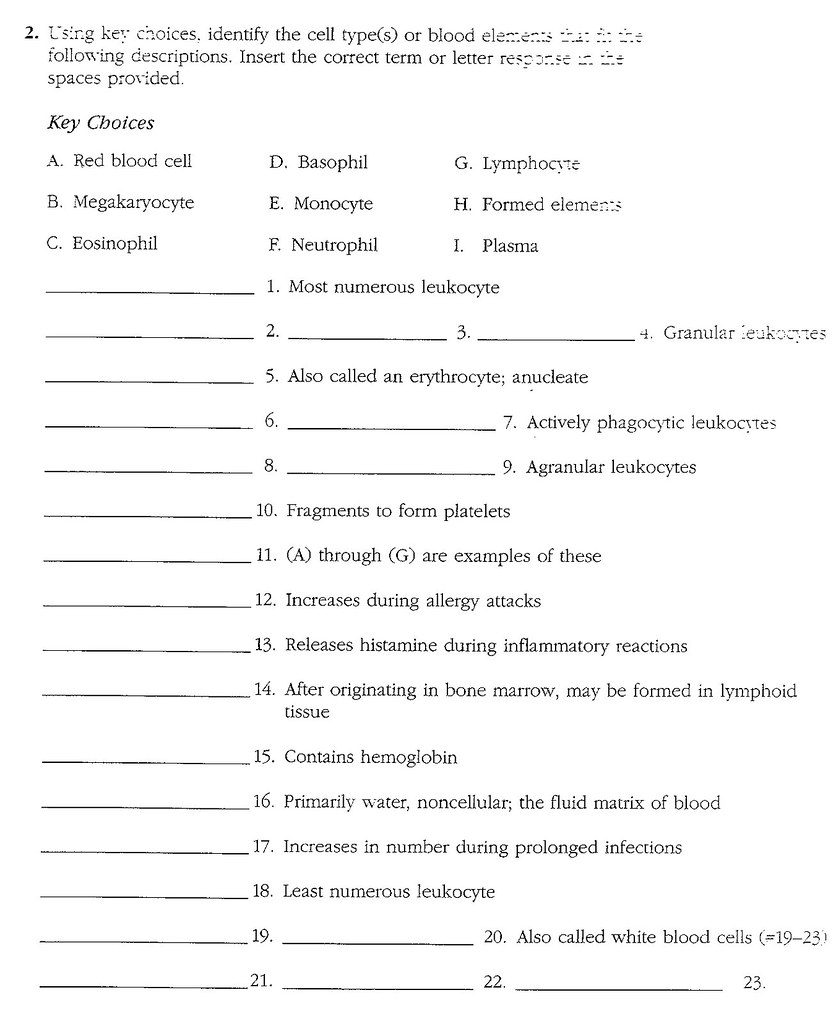 30 Ebola The Plague Fighters Worksheet Answers Worksheet Project List