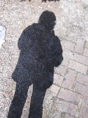 I see my shadow