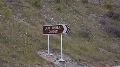 Lake Hawea Sign