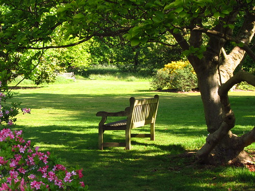 Bench in the Azalea Garden, Kew Gardens