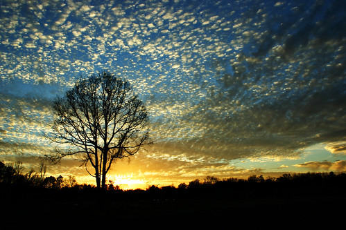 February 15, 2011 Sunset