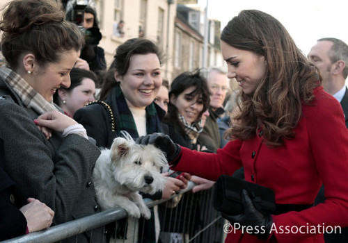 prince williams visits st andrews. Prince William and Catherine