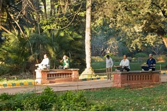 Lalbagh 2011-03-066