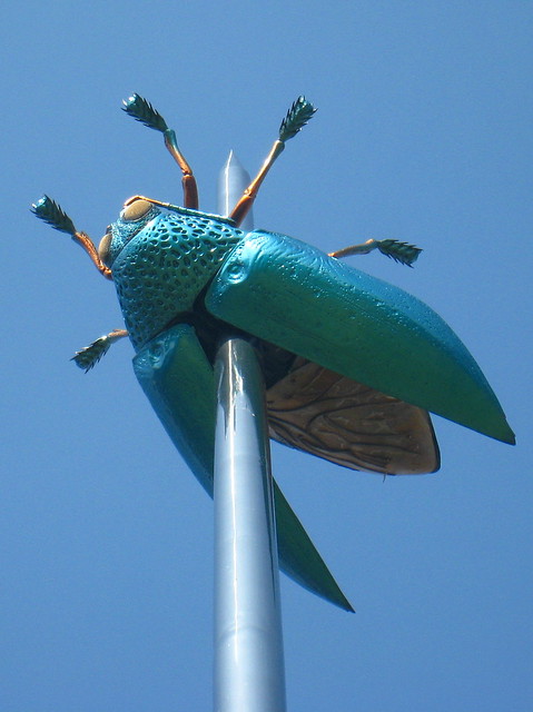 The scarabee (Jan Fabre), Leuven