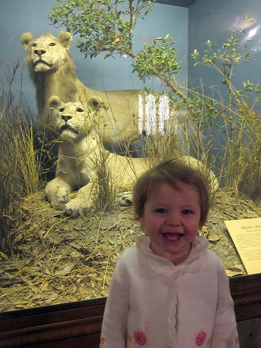 Anna and the Lions
