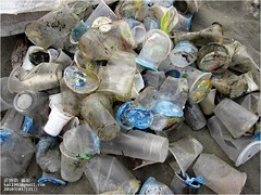 許多一次性飲料杯出現在海灘。圖片來自：清淨海洋行動聯盟。