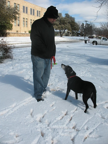 Our big snow day of 2011!