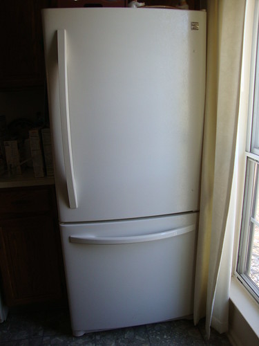 my new fridge