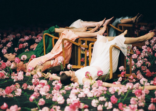 pina bausch 劇團劇目《康乃馨》carnations live in hk