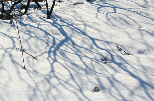 snow shadows 2011-03-06 010