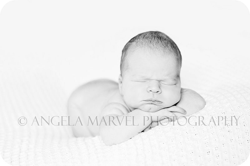 Angela Marvel Photography | Newborns