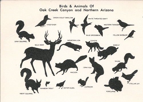 oak creek postcard back