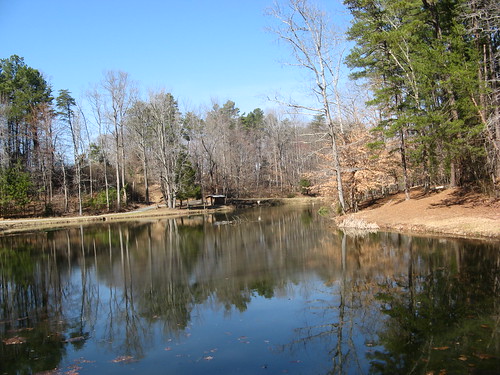 Pond at Bur-Mil Park