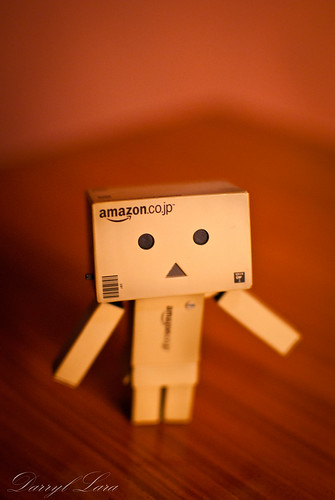 Well I present to you Danbo short for Danboard the cardboard box robot 