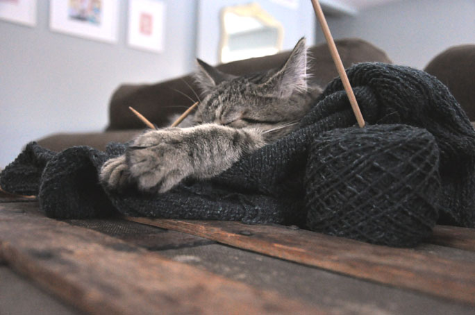lola loves knitting