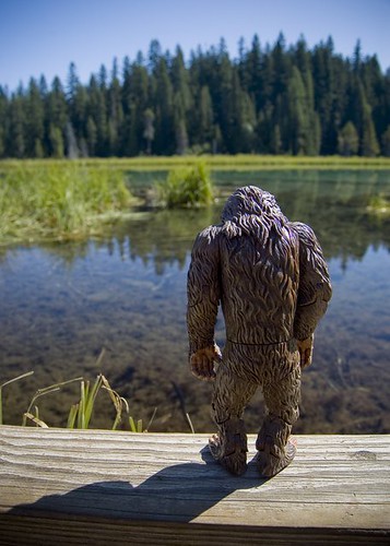Little Bigfoot Pauses to Reflect
