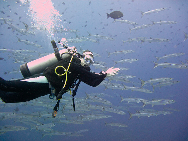 Palau, Diving on the Tropic Dancer