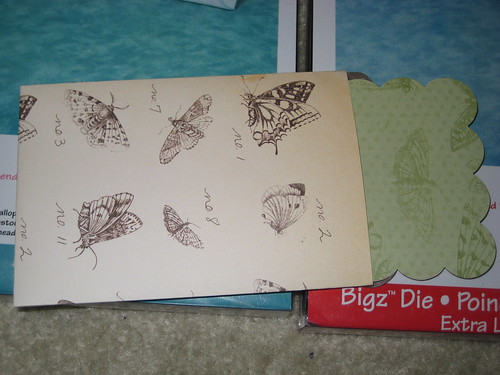 Scalloped Edged Butterfly Notecard & Envelope
