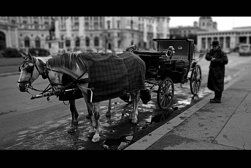The carriage driver.