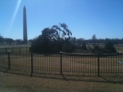 National Christmas Tree blown over