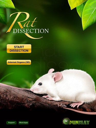 dissection of rat. brings you Rat Dissection,