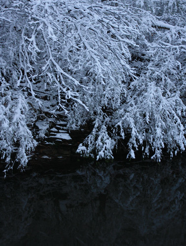 Snowy Creek at Night B