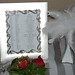 Seating charts and ostrich feather decor