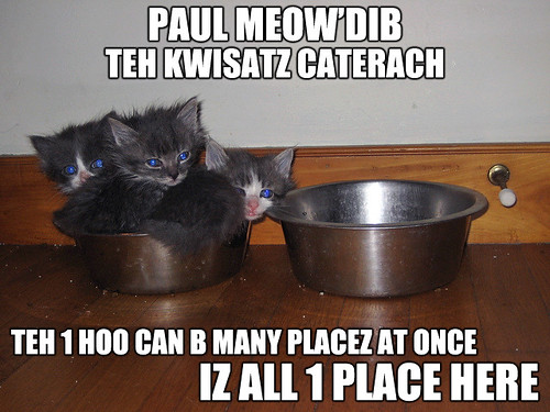 Paul Meow'Dib teh Kwisatz Caterach