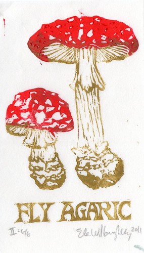 Fly Agaric 2nd edition