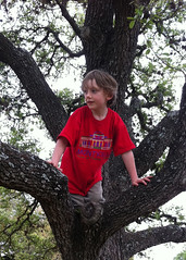 Asher climbing a tree