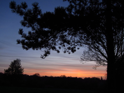 Hampstead Heath at Dawn