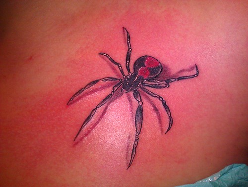 black widow spider tattoo. Black Widow Spider tattoo by