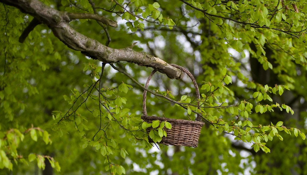 Woven Basket - Hanging in the Forest 