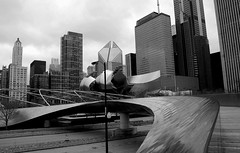 Chicago - Millenium Park (6)