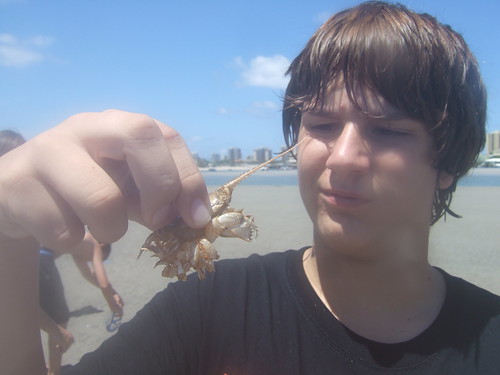 Nicholas with squat lobster