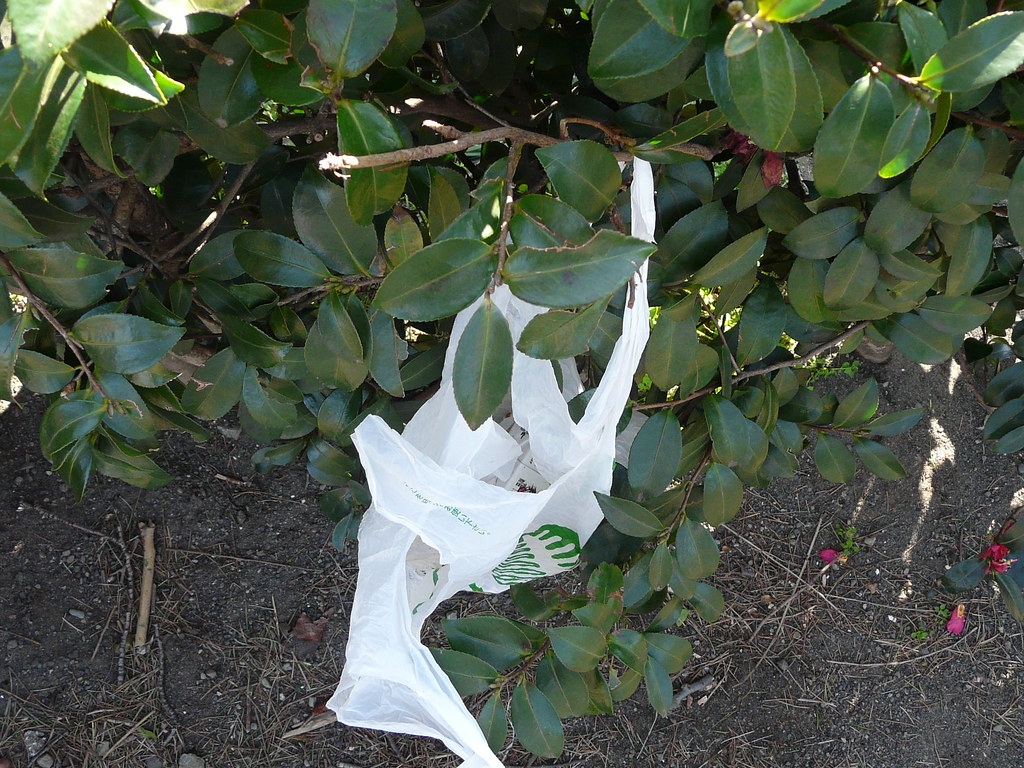 Ashtray in Plastic Bag