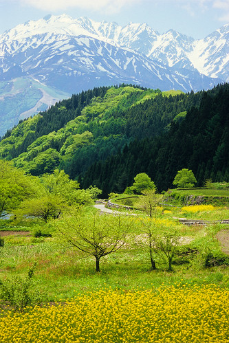 フリー写真素材|自然・風景|山|飛騨山脈・北アルプス|日本|