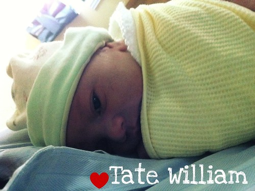 Tate William