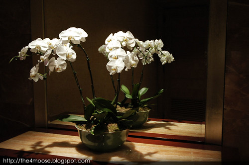 Fullerton Hotel - Orchids
