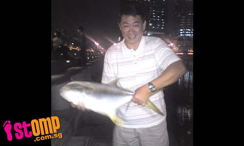 Man catches 3kg pomfret at MBS...with his bare hands