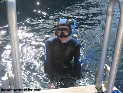 Wearing a wet suit to snorkel in Poor Knights Island, New Zealand.
