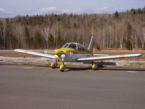 Yellowbird 6356J
