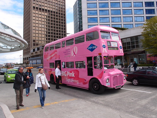 Big Pink Sightseeing Bus