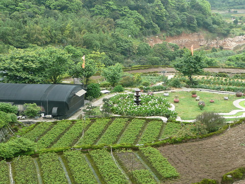 View from Yangmingshan