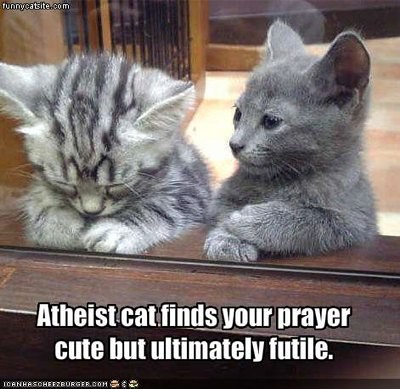 Atheist Kitty