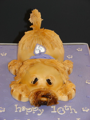 white goldendoodle puppy. Goldendoodle Puppy Cake