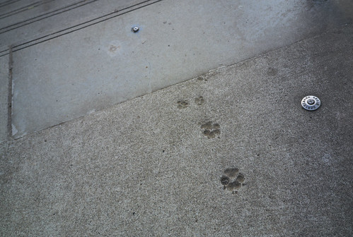 footprints