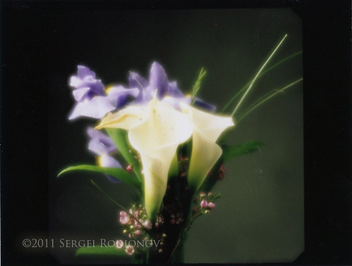 Instant film project: soft lens and flowers